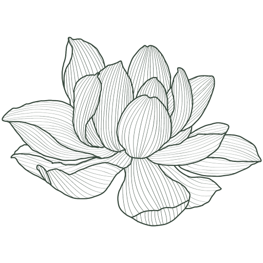 lotus-flower-nio-512